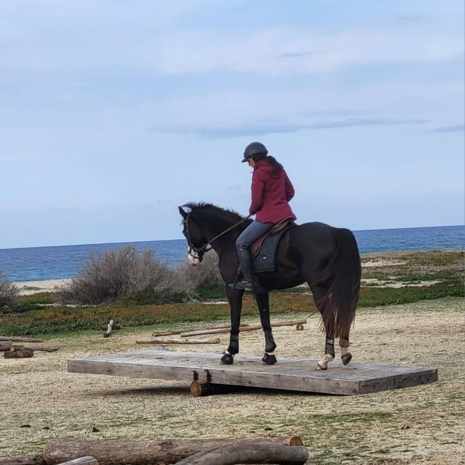 L’association Equitable-Corse organise ce dimanche 8 mars un concours équestre de Mountain Trail, dans l’enceinte du club Belambra à Lozari, en Balagne.