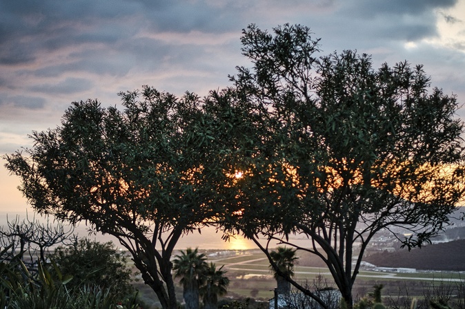 A màghjina - Aiacciu, sole è aliva di pace A màghjina - Aiacciu, sole è aliva di pace