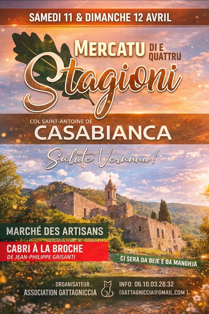 En Castagniccia, l’association Gattagniccia se mobilise pour les chats errants