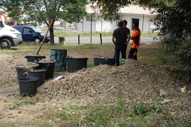 Grand-Ajaccio : Le CPIE procède à une expérience de broyage des déchets verts Grand-Ajaccio : Le CPIE procède à une expérience de broyage des déchets verts