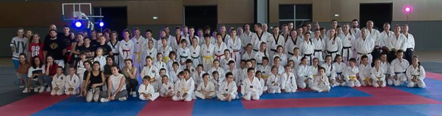 Les arts martiaux déroulent les tapis à Borgo Les arts martiaux déroulent les tapis à Borgo