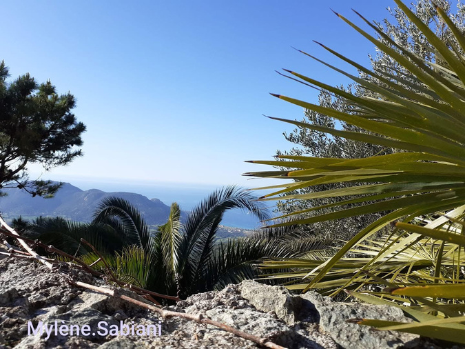 Monticellu (Mylène Sabiani)