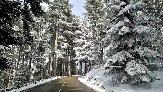 A màghjina - Neve in furesta d'Aïtone