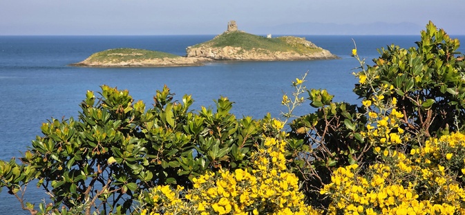 A màghjina - E Finuchjarole, gioiellu salvaticu di Capicorsu