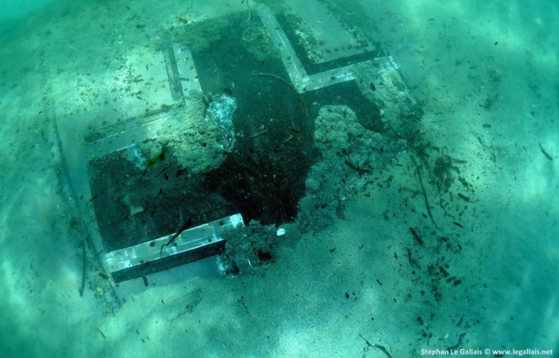 Bastia : La Croix de la Luftwaffe intacte sur l’aile du Junkers 90 Bastia : La Croix de la Luftwaffe intacte sur l’aile du Junkers 90