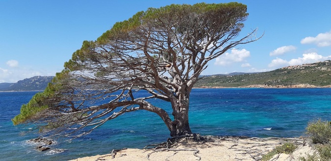 Tourisme durable : la Corse renforce son engagement avec l’écolabel européen