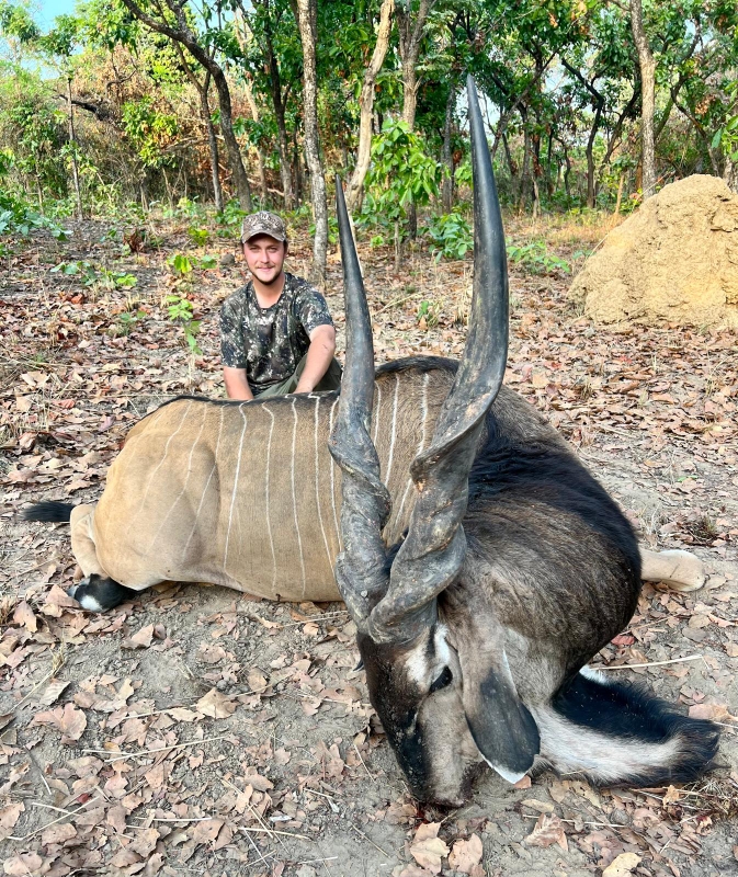 Corte : Bianchi Safaris, pour des souvenirs mémorables !
