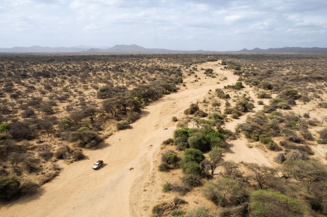 Corte : Bianchi Safaris, pour des souvenirs mémorables !