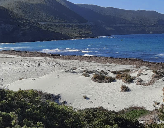 Ostriconi (Annick Medori)