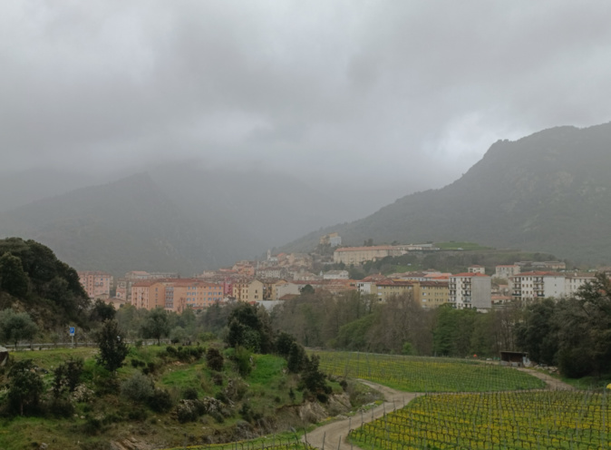 (Photo : Archives Mario Grazi)