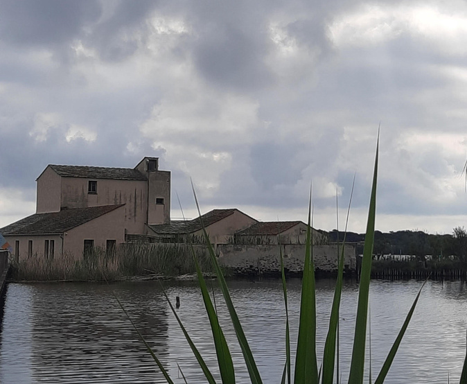 Le fortin de Chjurlinu  (Annick Medori)