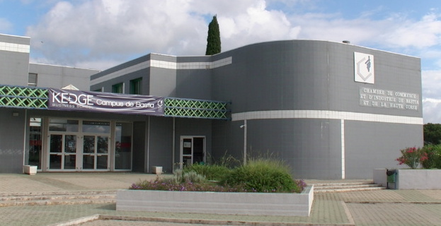 Nouvelle filière à l’Ecole de management de la CCI de Bastia