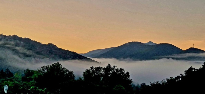 (Françoise Geronimi)