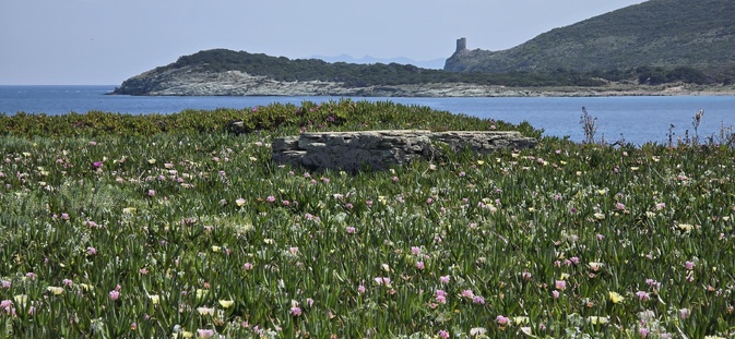 A màghjina - Veranu sott’à a torra d'Agnellu
