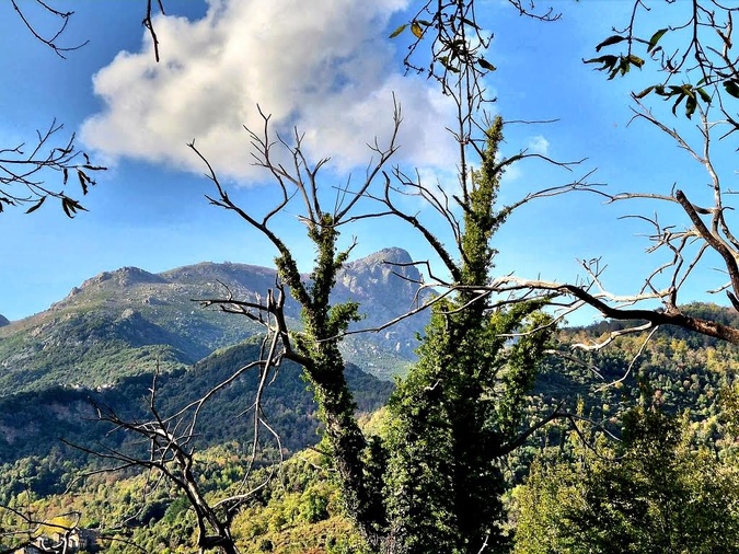 (Françoise Geronimi)