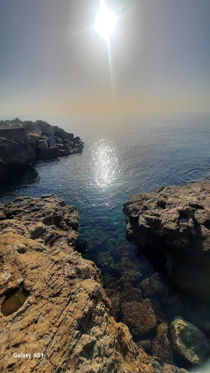 (Annick Medori) (Annick Medori)