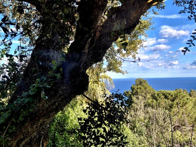 (Françoise Geronimi)