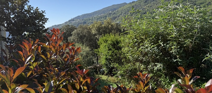 U tempu in Corsica U tempu in Corsica