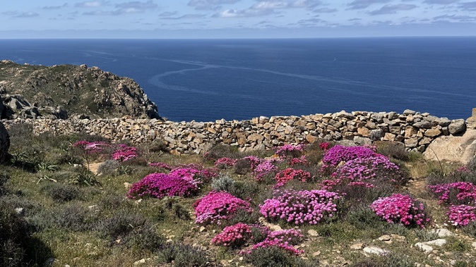 A màghjina - U veranu di A Revellata