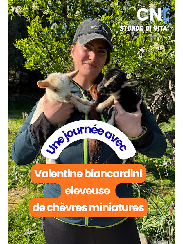 Stonde di vita avec…  Valentine biancardini éleveuse de chèvres miniatures