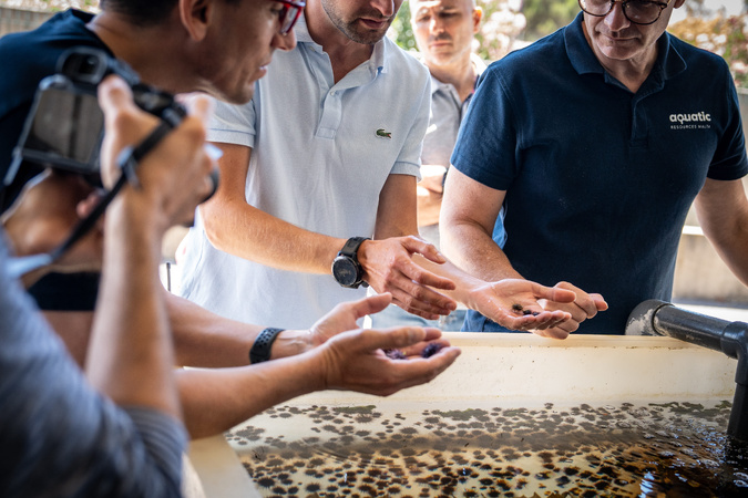 Stella Mare exporte son savoir-faire : une délégation maltaise vient voir ses oursins "made in Corse" Stella Mare exporte son savoir-faire : une délégation maltaise vient voir ses oursins "made in Corse"