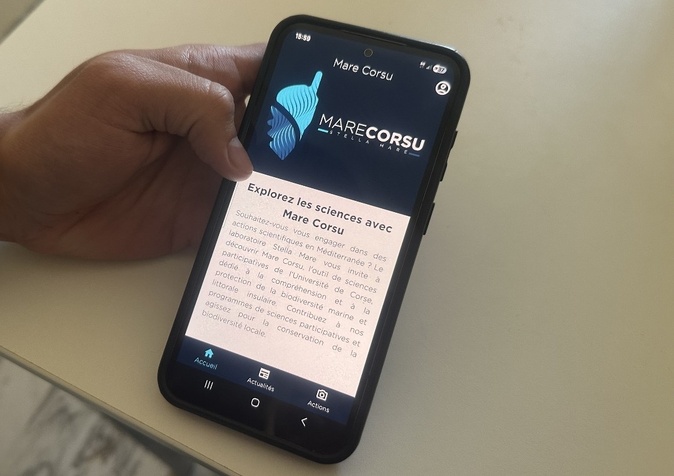 Grâce à l'application Mare Corsu, chaque citoyen doté d'un smartphone peut participer au recensement et à la protection des espèces marines du littoral. (Photo : Matteo Lanfranchi)