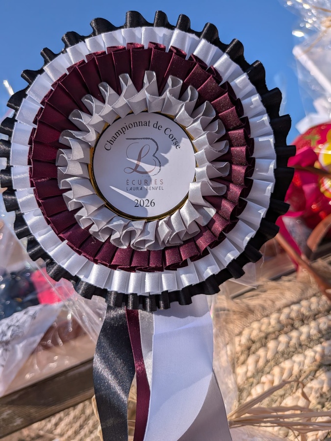 Équitation - Les champions de Corse de dressage sacrés à Lucciana Équitation - Les champions de Corse de dressage sacrés à Lucciana