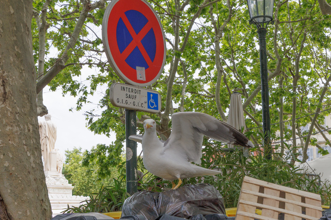 (Photo Gérard Baldocchi)