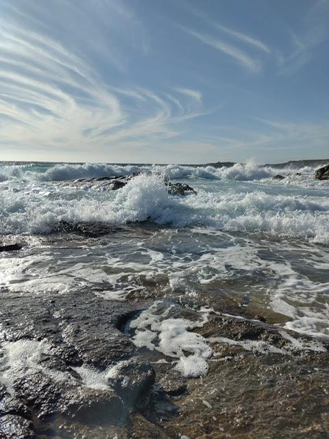 (Christine Guglielmone)