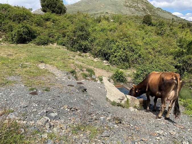 Bustanicu - Des abreuvoirs en montagne pour les animaux
