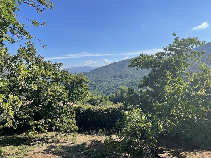 U tempu in Corsica