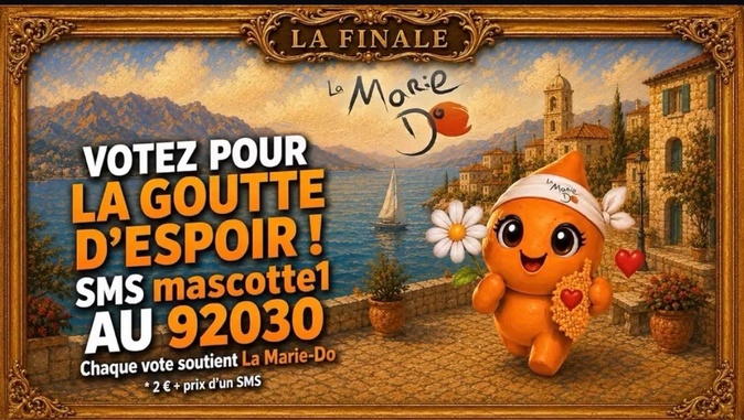 Trois mascottes en finale pour incarner La Marie-Do Trois mascottes en finale pour incarner La Marie-Do