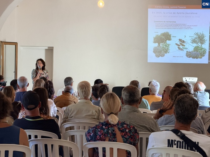 Corsica Grana célèbre dix années d’engagement pour une filière végétale insulaire durable Corsica Grana célèbre dix années d’engagement pour une filière végétale insulaire durable
