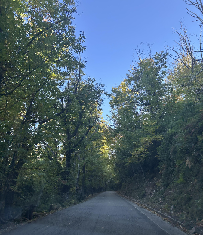 Sur la route de Croce en Castagniccia (Mylène Sabiani)