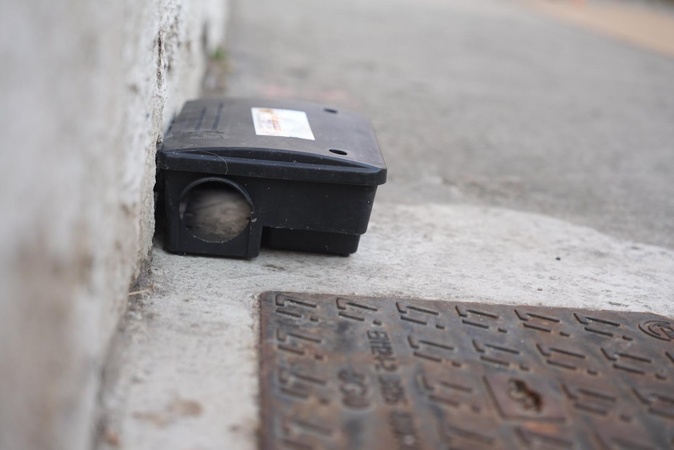 À Ajaccio, la lutte contre les rats s'intensifie face à une prolifération estivale À Ajaccio, la lutte contre les rats s'intensifie face à une prolifération estivale