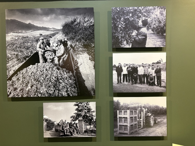 Musée de Bastia - Une expo mettant en lumière les relations unissant la Corse au Maghreb