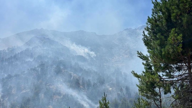 Haute-Corse : la bataille contre les flammes se poursuit à Corte et Albertacce Haute-Corse : la bataille contre les flammes se poursuit à Corte et Albertacce