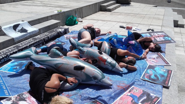 Massacre aux Iles Feroé : Manifestation devant le consulat du Danemark à Porto-Vecchio