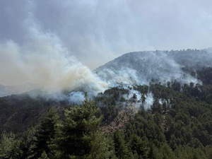 Incendies - 300 hectares parcourus à Albertacce, 100 à Corte