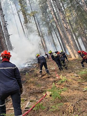 Les pompiers sur les lisières du feu de Albertacce : un travail long et harassant (Sdis 2B)