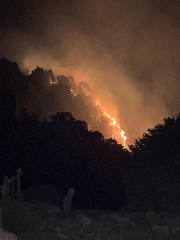 Incendie de la Restonica - L’inquiétude des bergers du plateau d’Alzu