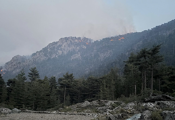 Restonica : le feu a parcouru 900 hectares Restonica : le feu a parcouru 900 hectares