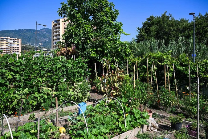 (photo : direction de la communication de la Ville d'Ajaccio) (photo : direction de la communication de la Ville d'Ajaccio)
