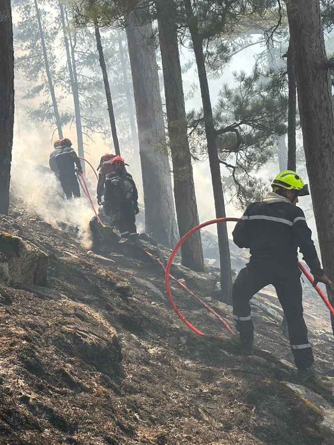 À Corte, une reprise virulente de l'incendie mobilise près de 80 sapeurs-pompiers dans le Tavignanu
