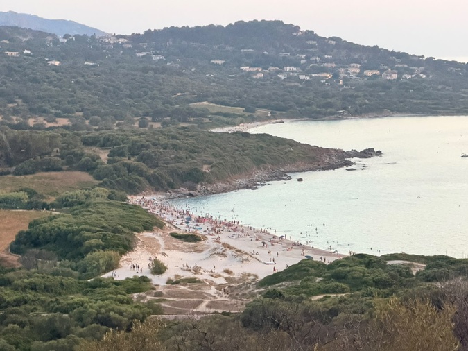 Bodri (MAS)