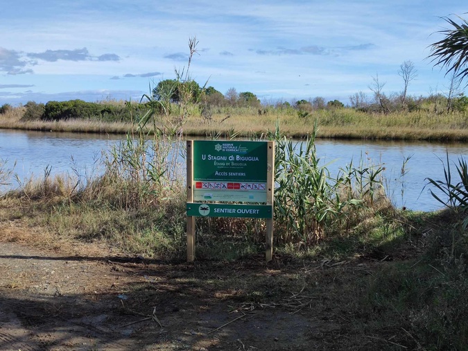 Photo : Réserve naturelle de l'étang de Biguglia