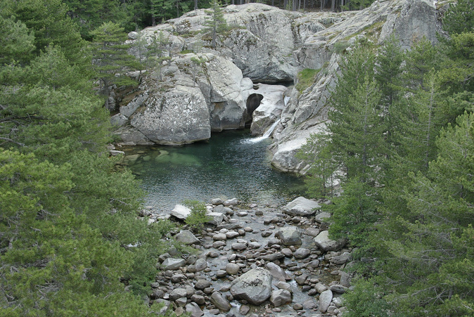 (Photo Gérard Baldocchi) (Photo Gérard Baldocchi)