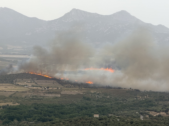 Haute-Corse : un incendie attisé par le vent menace des habitations à Calenzana