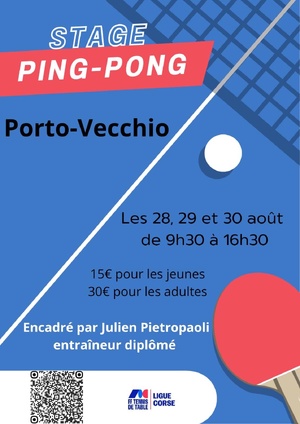Portivechju - Un stage de Tennis de table durant trois jours