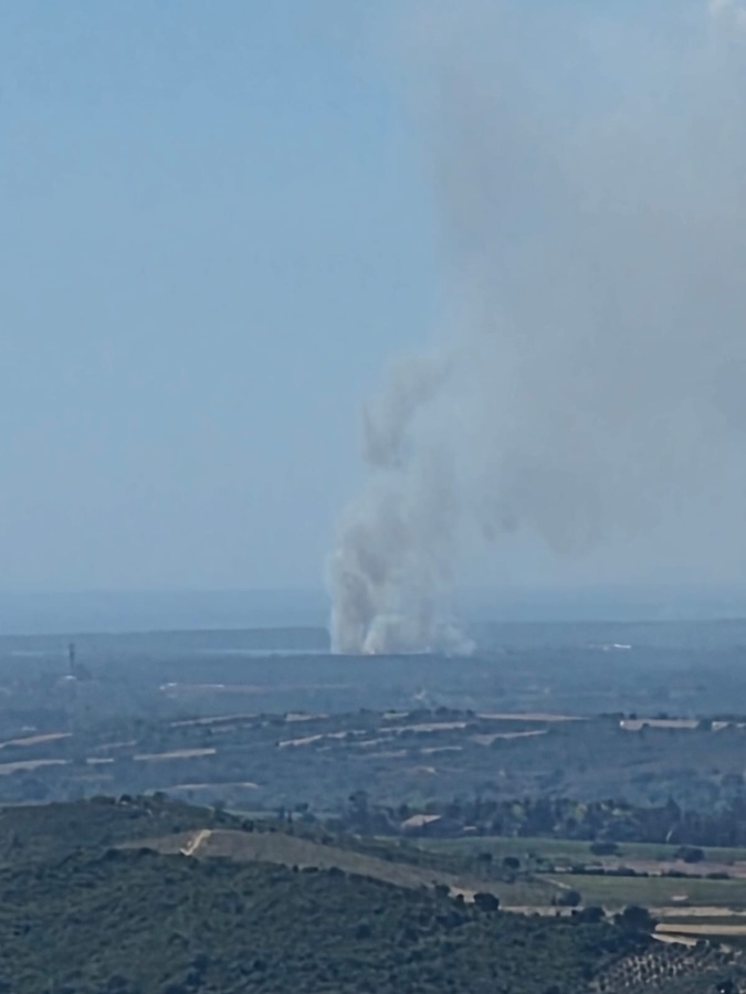 Aleria : un incendie se déclare au lieu-dit Mavela, 20 hectares déjà parcourus